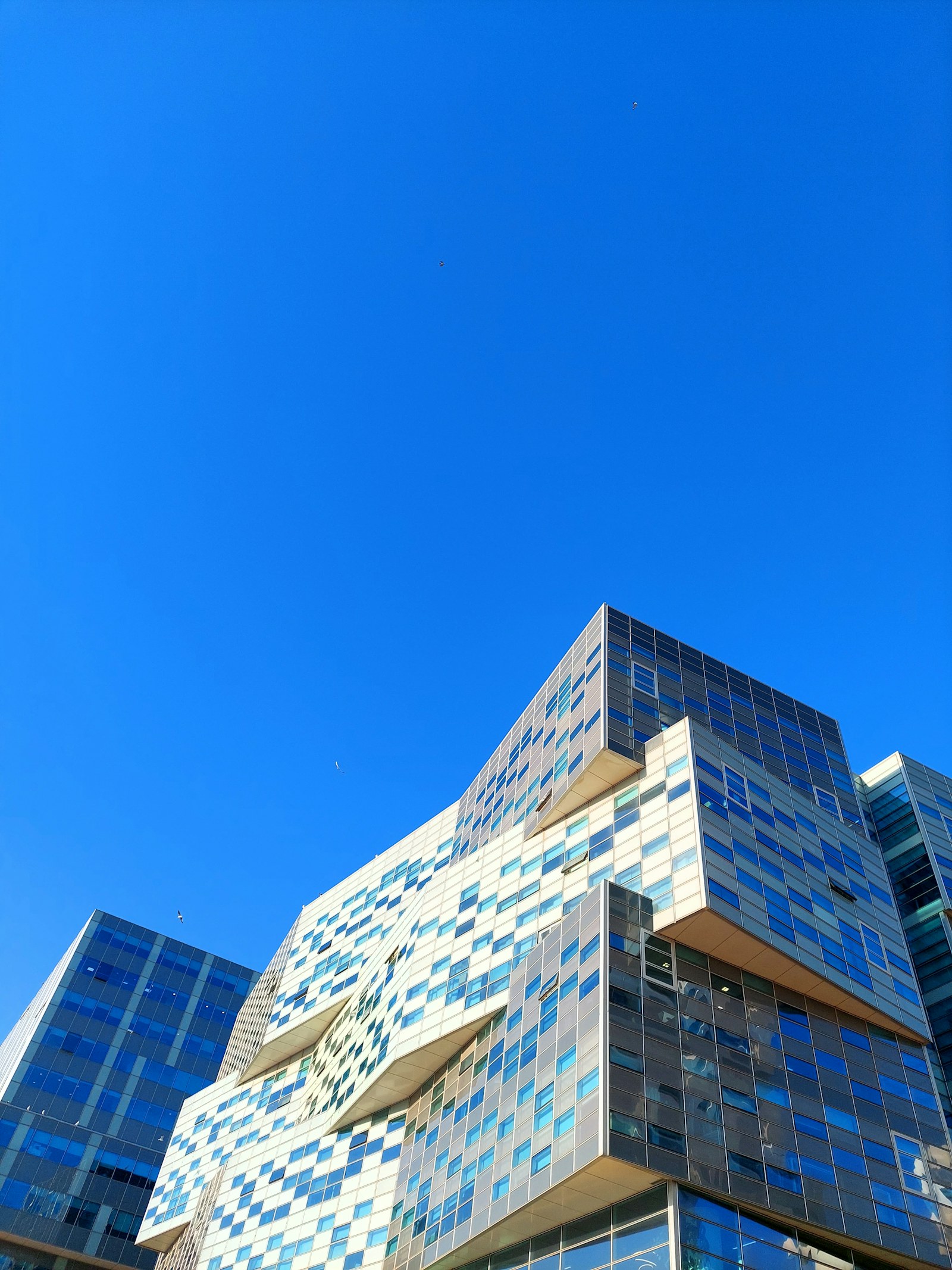 Modern building used in a professional website design direction